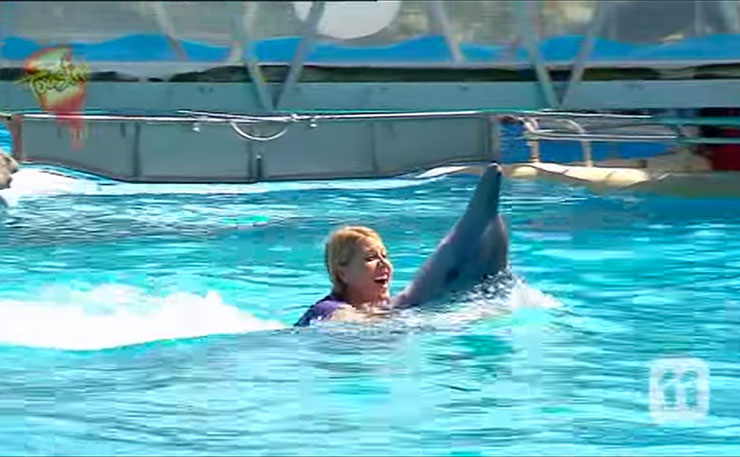 A visitor rides a dolphin st the Dolphin Marine Magic park in Coffs Harbour.