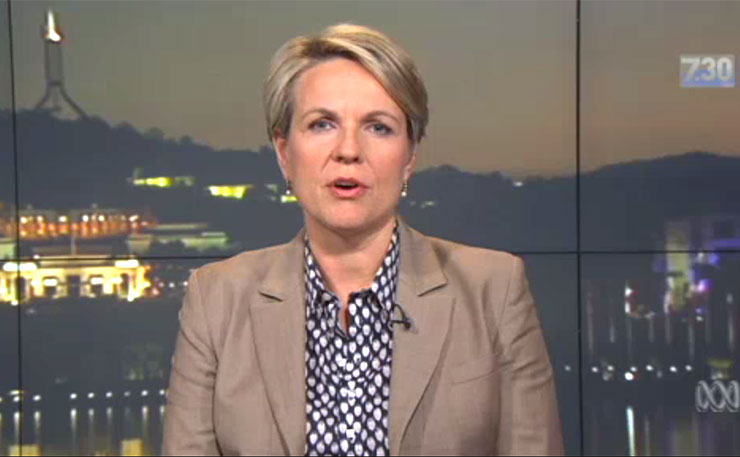 Deputy Opposition leader for Labor, Tanya Plibersek.