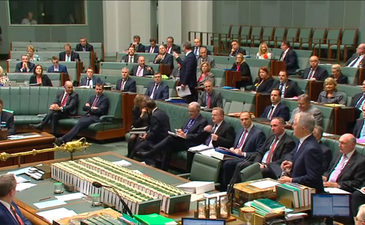 Malcolm Turnbull, holding court in parliament.