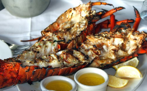new matilda, grilled lobster, seafood