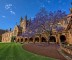 The University of Sydney. (IMAGE: Jason James, Flickr)