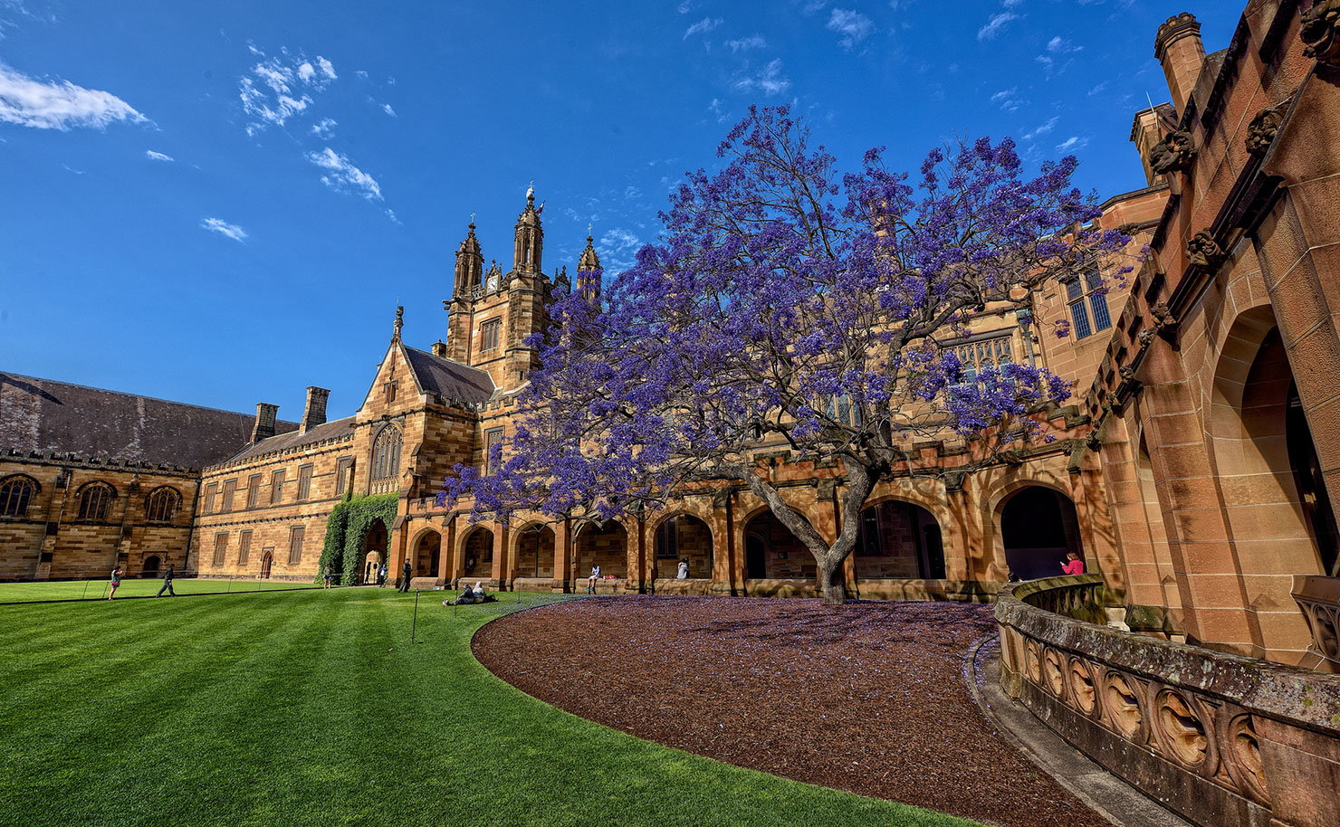 The University of Sydney. (IMAGE: Jason James, Flickr)