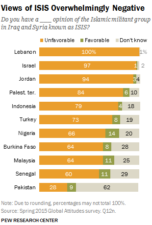 Views of Islamic State in Muslim countries.