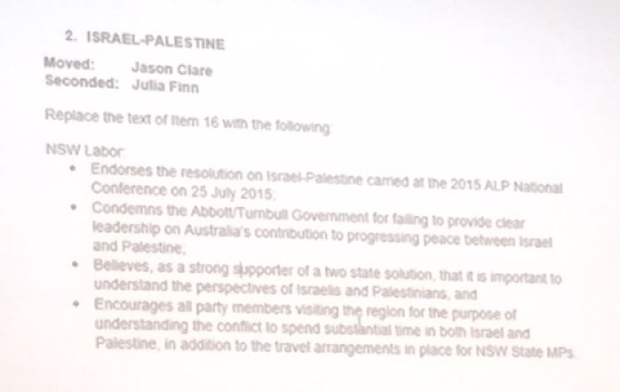 ALP-Israel-motion