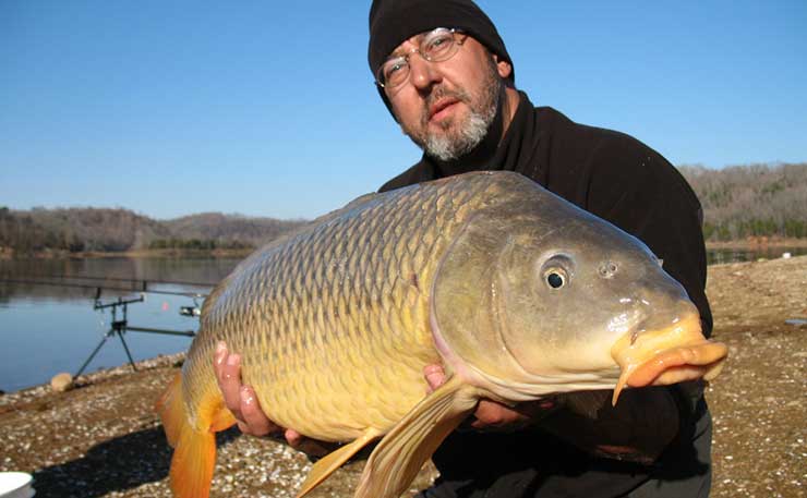 A picture of a 24lb European Carp that would have caught Herpes from Christopher Pyne in a few years if it weren't first plucked from the water.