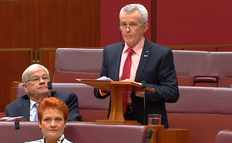One Nation's Malcolm Roberts delivers his maiden speech to parliament in 2016.