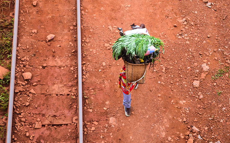 Tobacco leaf being transported alongside the Congo Ocean railway line, near Soulou Dolisie. (IMAGE: jbdodane, Flickr)