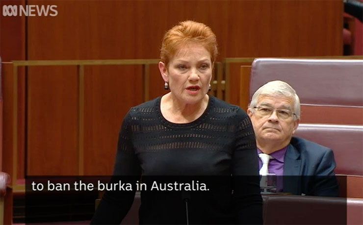 An ABC News screengrab of Pauline Hanson, shortly after removing a burqa during her parliamentary stunt last week.