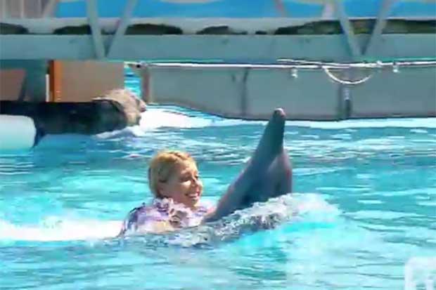 A screen capture of TV presenter Kellyn Morris enjoying a 'belly ride' at Dolphin Marine Magic in 2013.