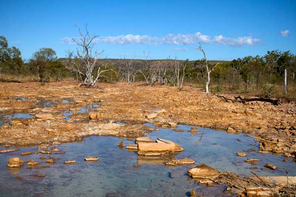 Riparian Habitats poisoned by toxic waters.