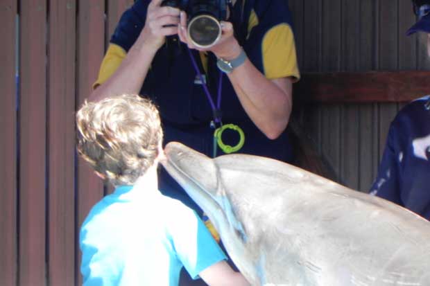 A dolphin 'kiss' and photo opportunity at Dolphin Marine Magic in Coffs Harbour, New South Wales.