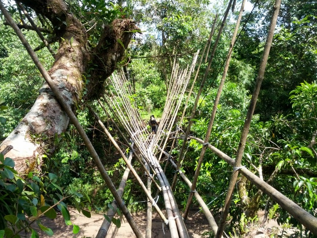 One of the many bamboo bridges built by the Bidayuh. These can hold up to ten people at a time and are essential for getting up into the settlements. Photo by Andrew Garton.